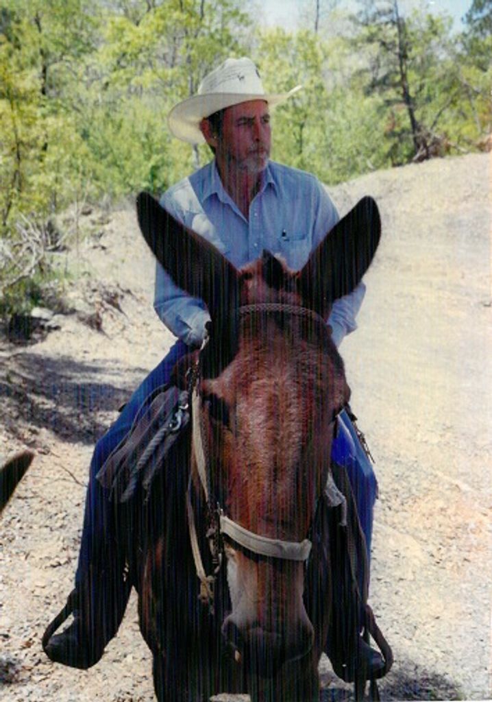 Steve Krodle