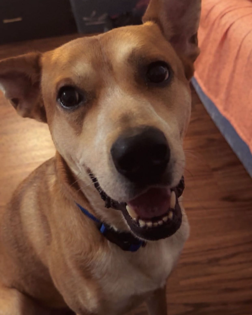 Rocket Evans Profile Photo