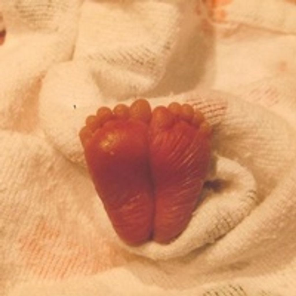 Swayne Addison Bradley