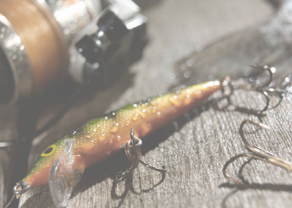 Donald Paul Heintzman