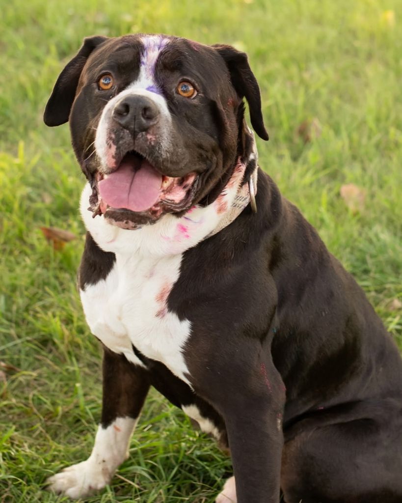 Tusk Mondragon Profile Photo