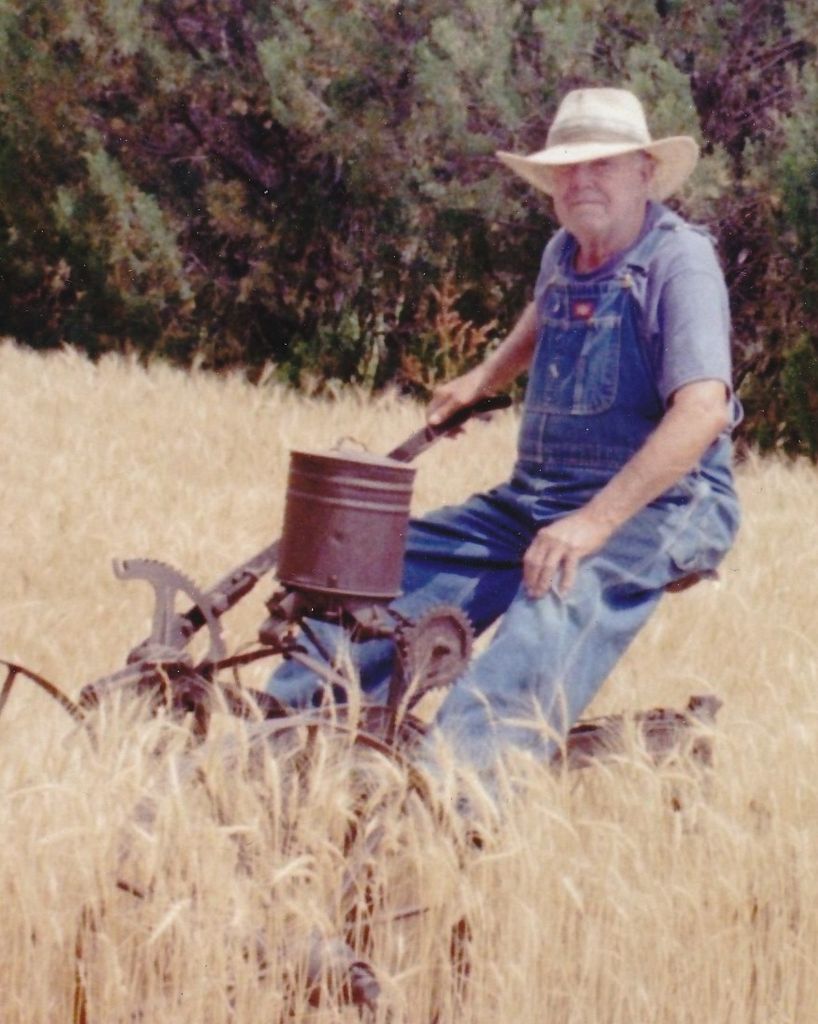Wayne Shelton