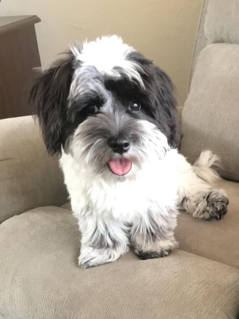 Molly Flores Profile Photo