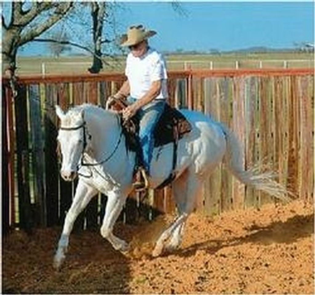 Thomas Ivey Mcdowell Profile Photo