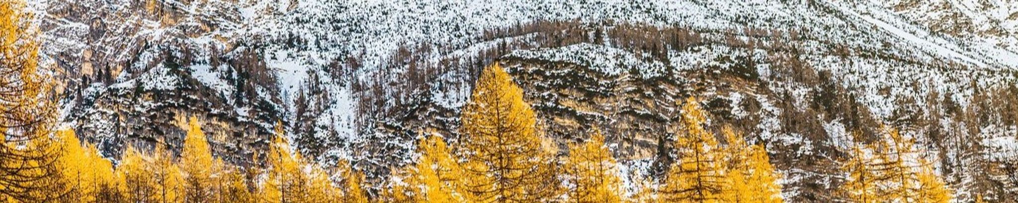 Cover for James Louis Denney's Obituary