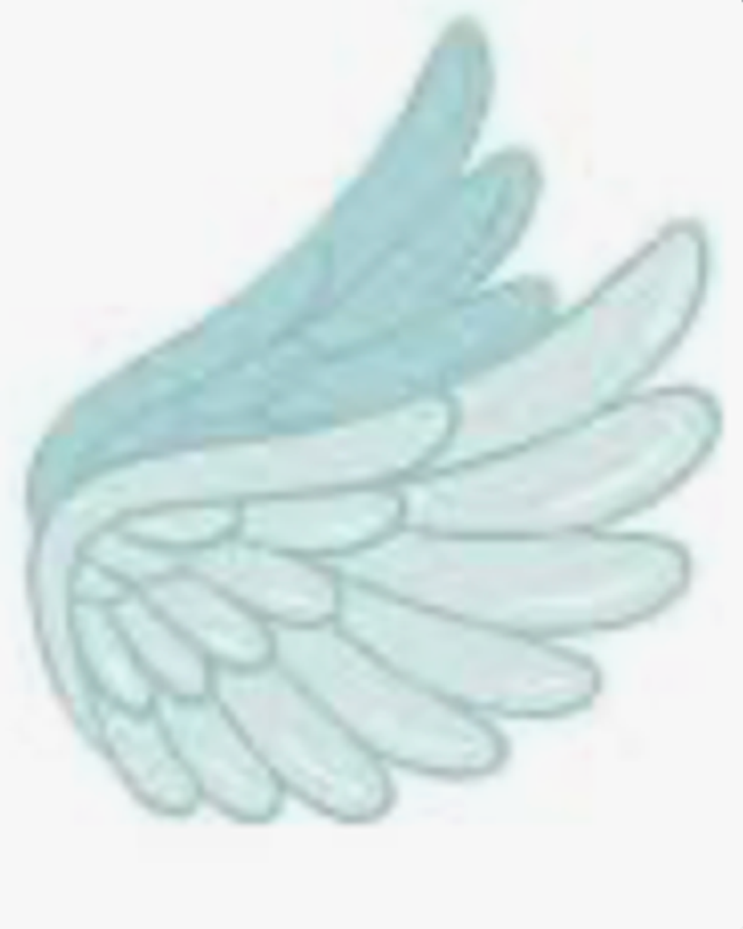 Dilan Cisneros Profile Photo