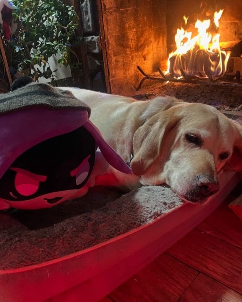 Violet Cadek Profile Photo