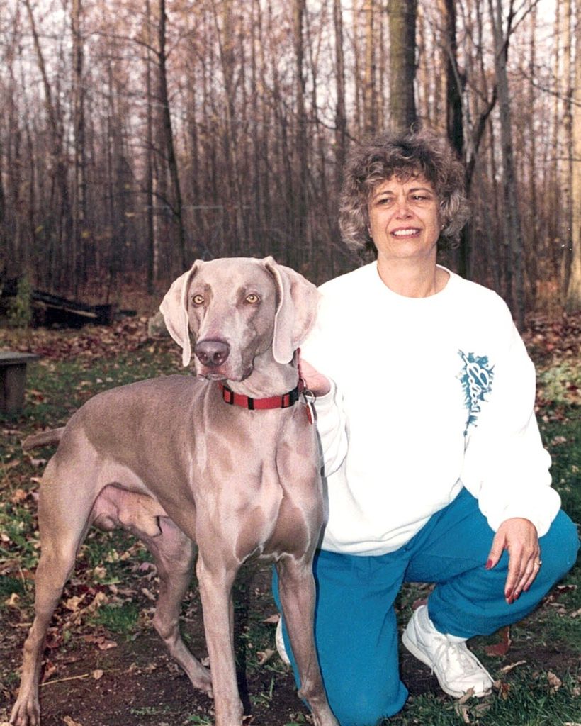 Carol A. Barsema