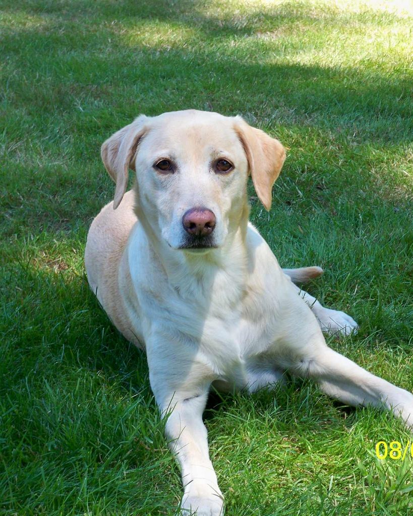 Annie Mae Profile Photo