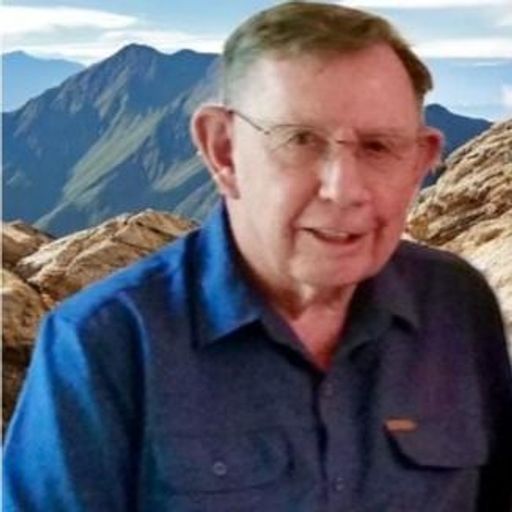 Weldon Plett Profile Photo