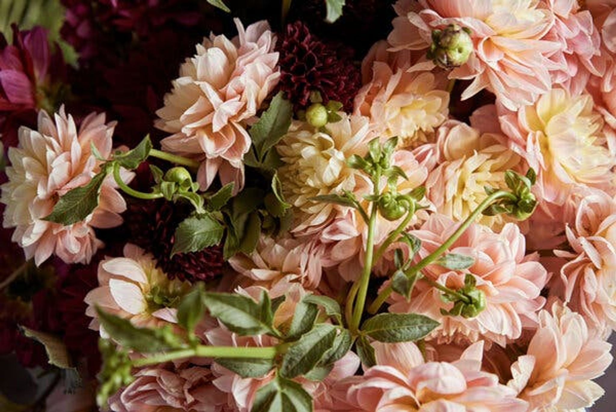 Cover photo for Wanda Jean Pena's Obituary