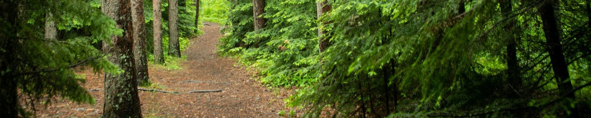 Cover photo for Margaret "Peg" Werner's Obituary