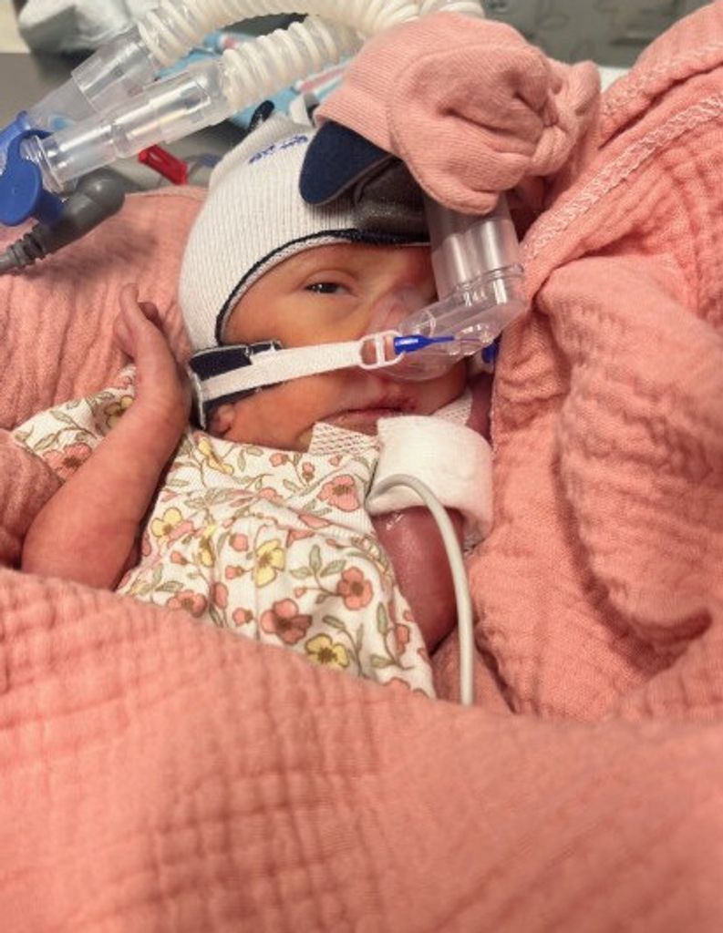 Iris Wren Ponder Profile Photo