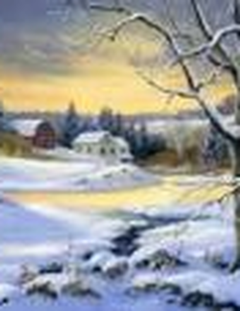 Tina Colella Carvotta