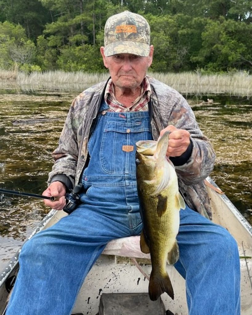 Junior Palmer Profile Photo