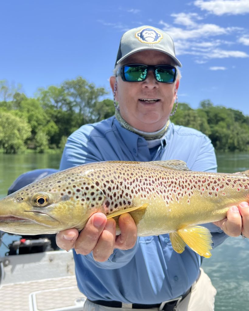 Mike Link Profile Photo