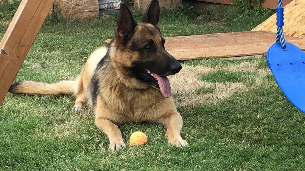 Kain Profile Photo