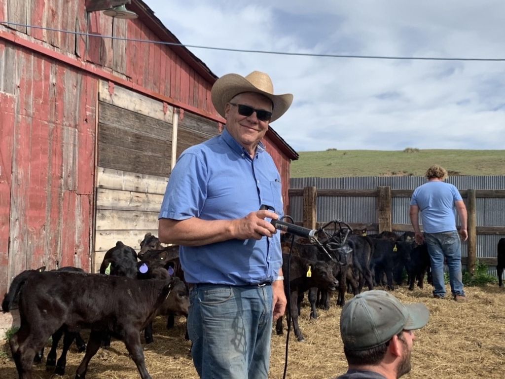 Alan Kirkbride Profile Photo