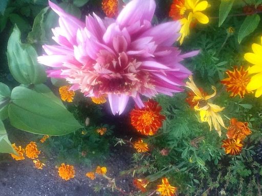 Sandra L. Stowers photo gallery thumbnail 90 of 100