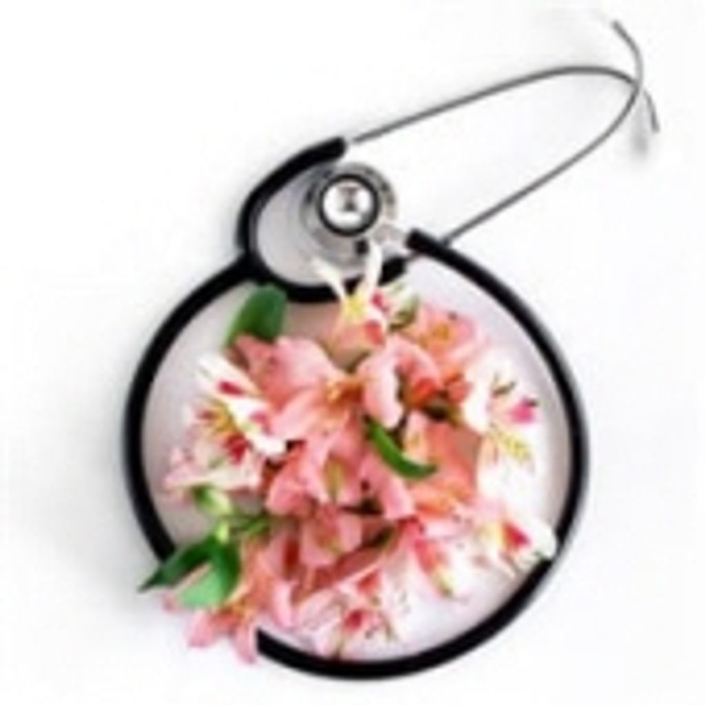 Dorothy Pauline Allen