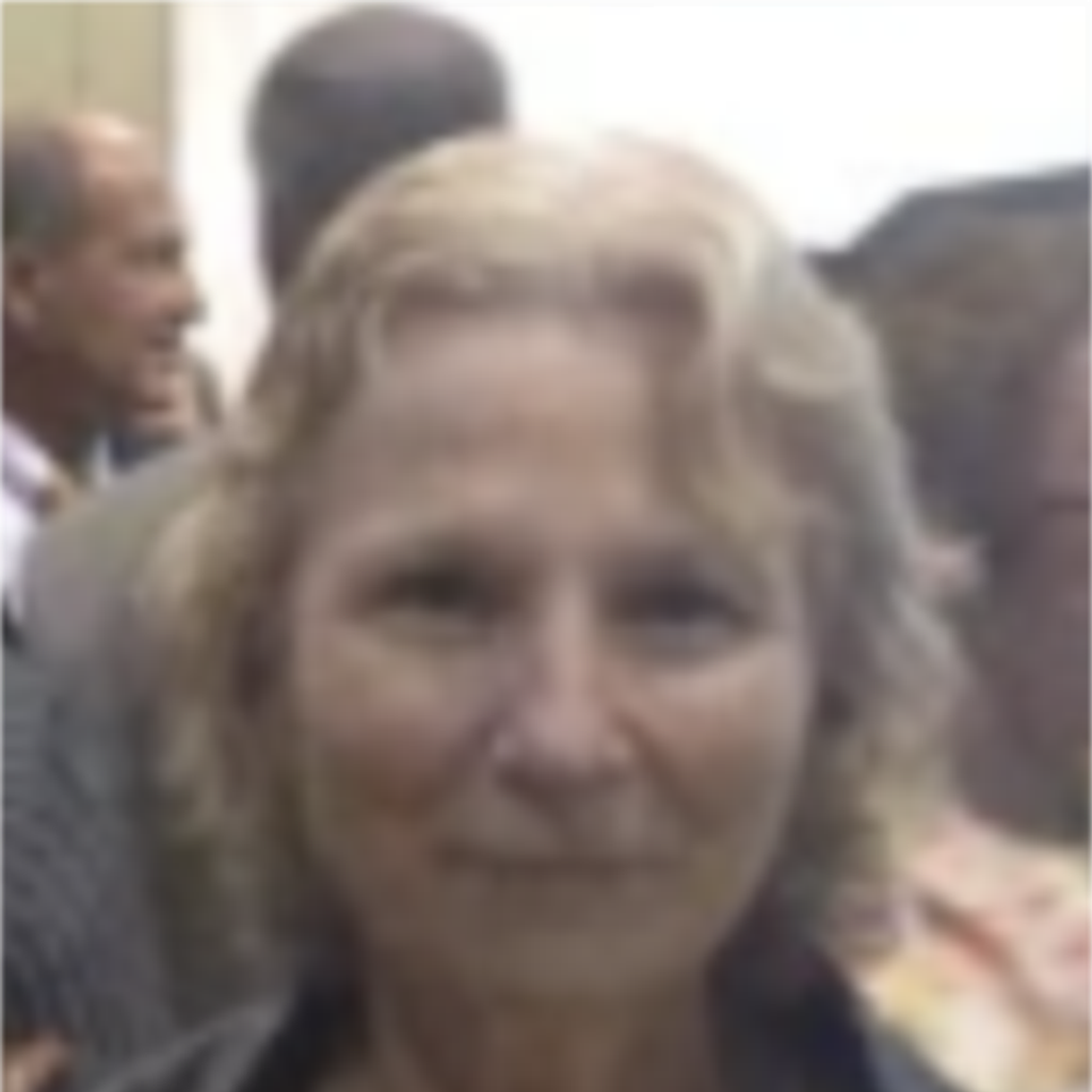 Dorothy J Foley