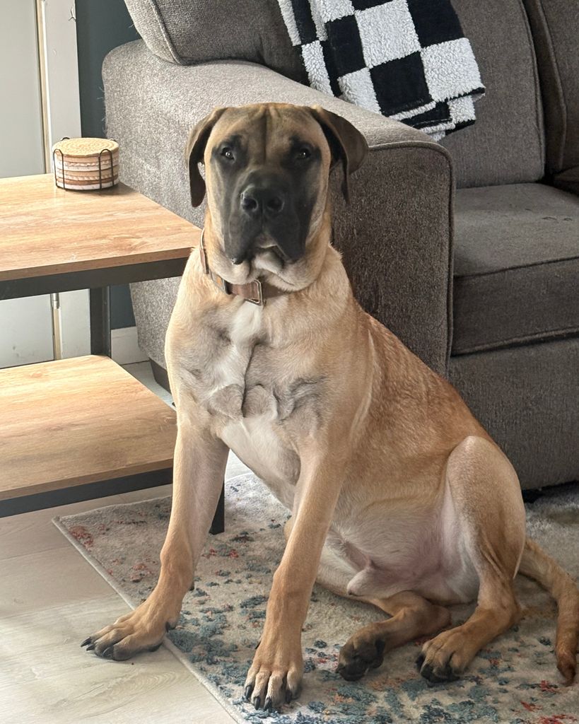 Simba Myrick Profile Photo