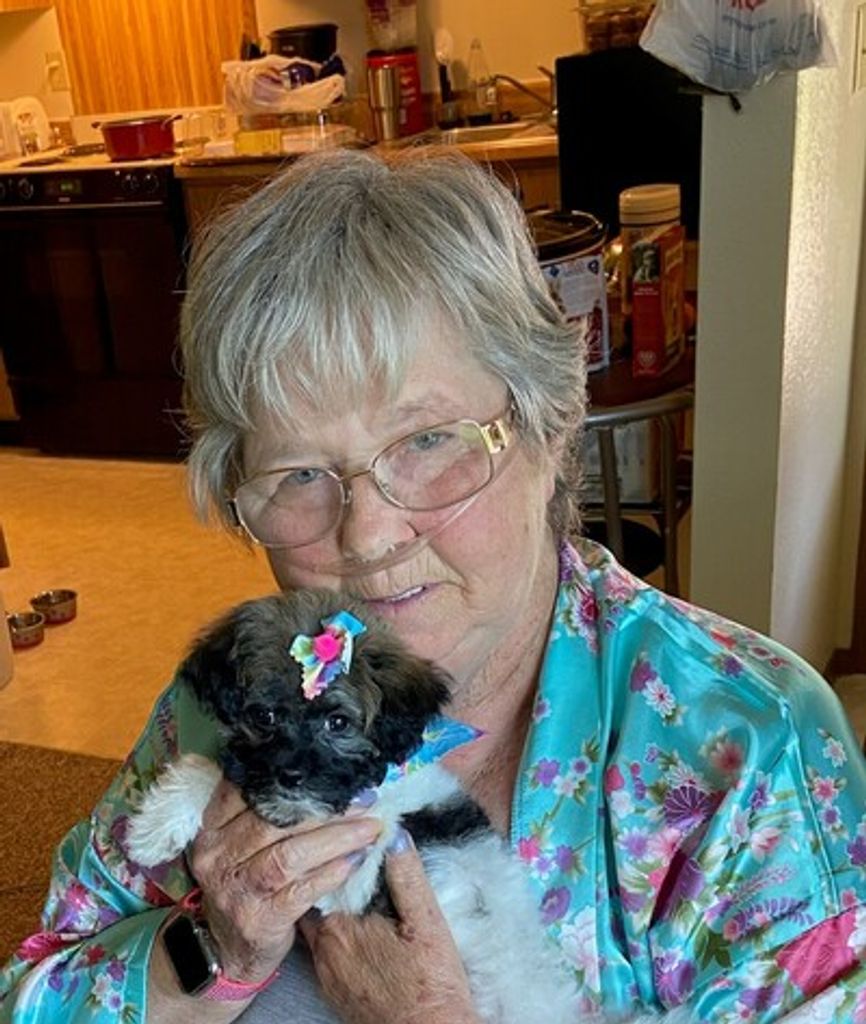 Glenna Marie Allen Profile Photo