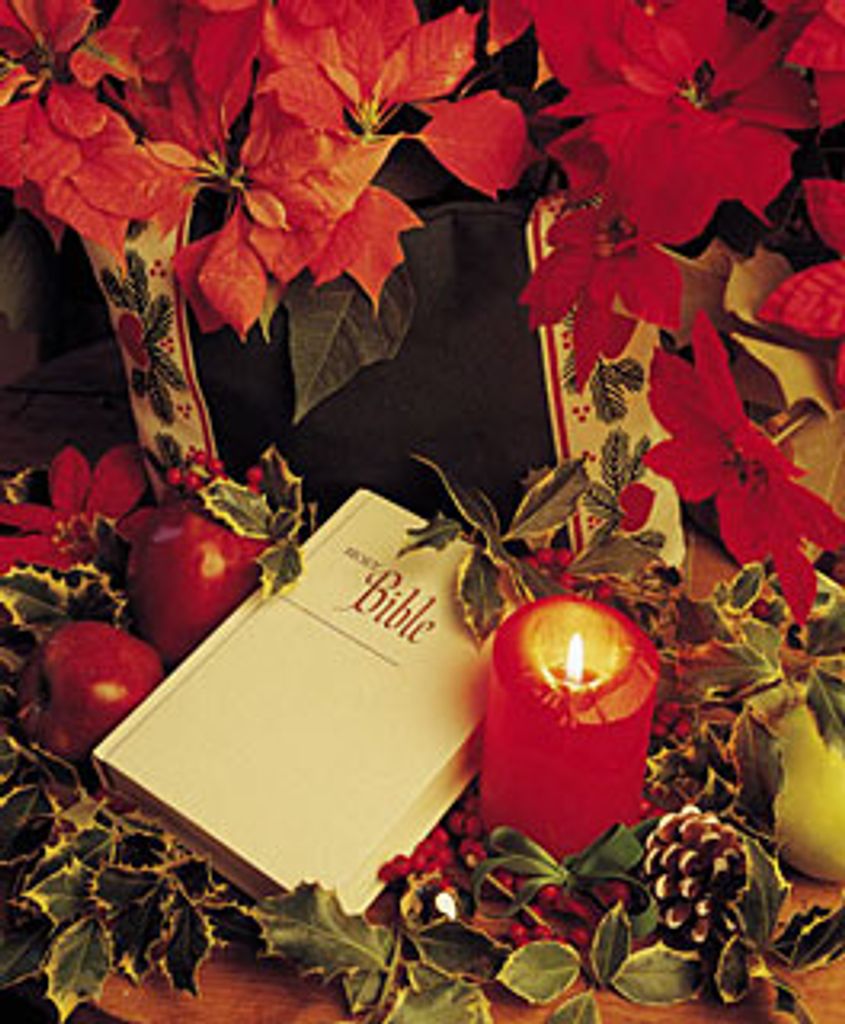 Pauline Emma Gedig Nelson