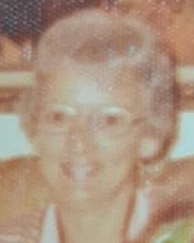 Jean E. Stein Profile Photo