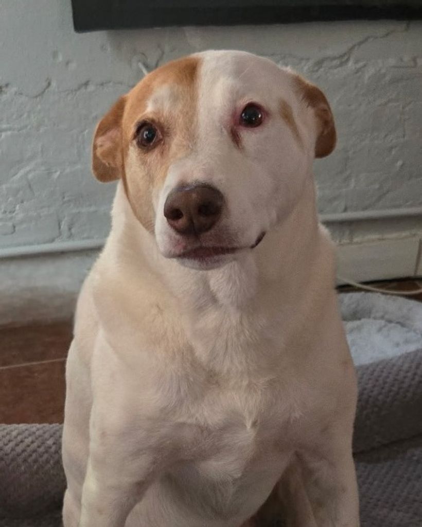 Amber Bella 🖤 Profile Photo