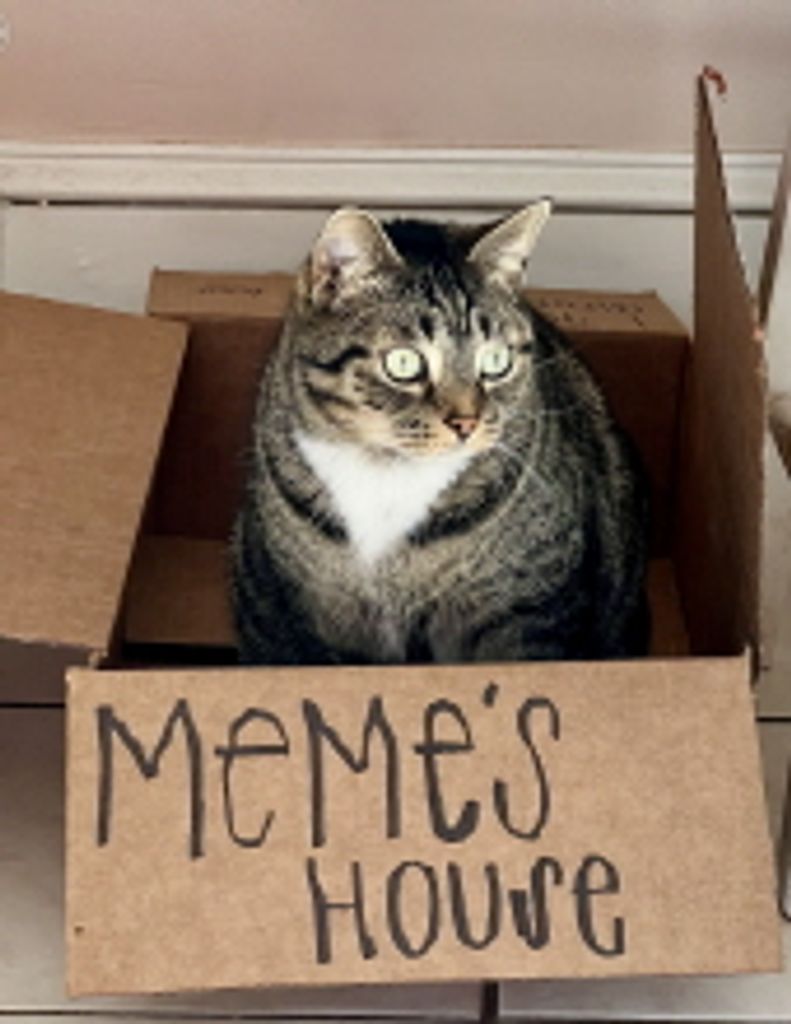 Meme  Lamb Profile Photo