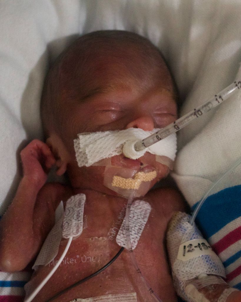 Micah Asher Torres Muniz Profile Photo