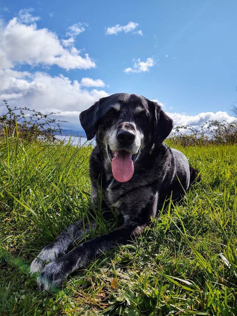Dexter Smith Profile Photo