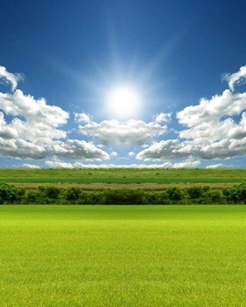 Danny Inge Profile Photo