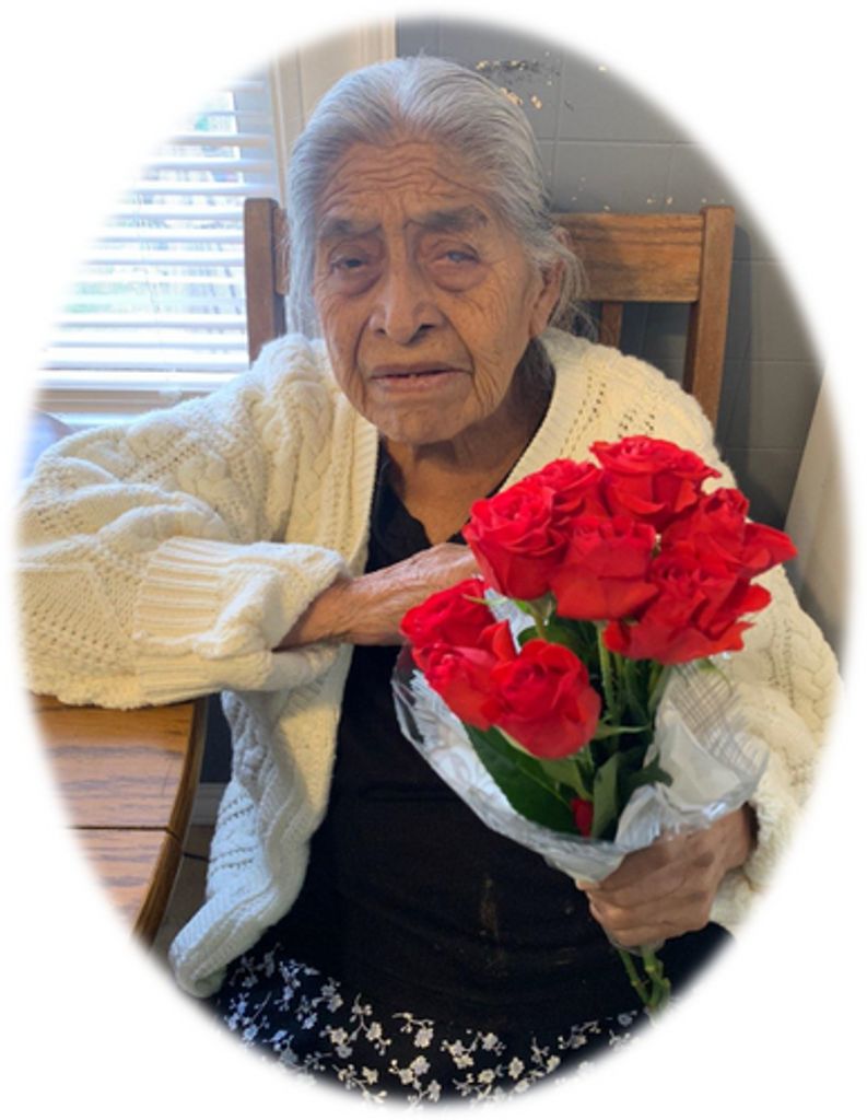 Angelina Hernandez Profile Photo