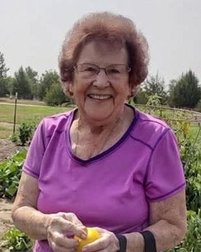 Virginia Stieb Yahn Profile Photo