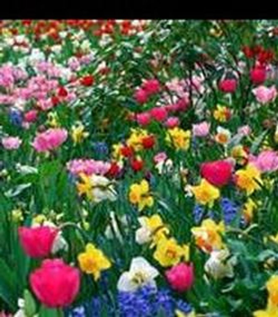 Juanita Neely Hudson