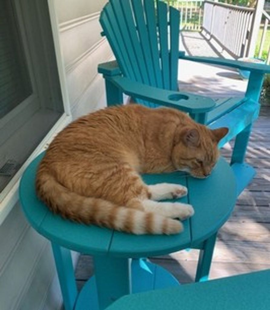 Garfield Modr Profile Photo