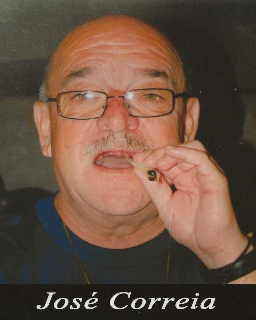 José Correia Profile Photo