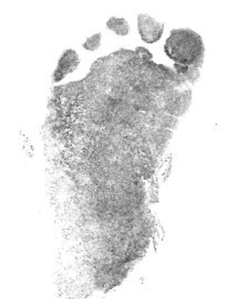 Roman Alexander Cook Profile Photo