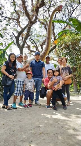 Atanacio De Castro photo gallery thumbnail 11 of 21