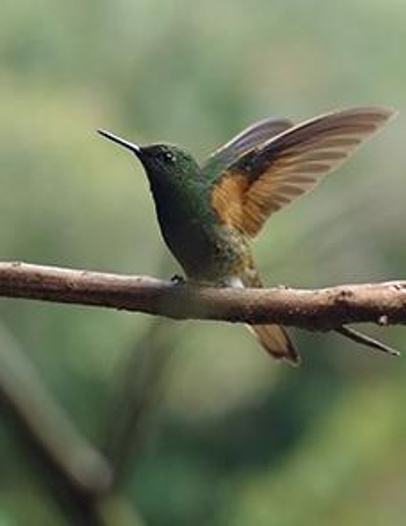 Richard Amador Profile Photo