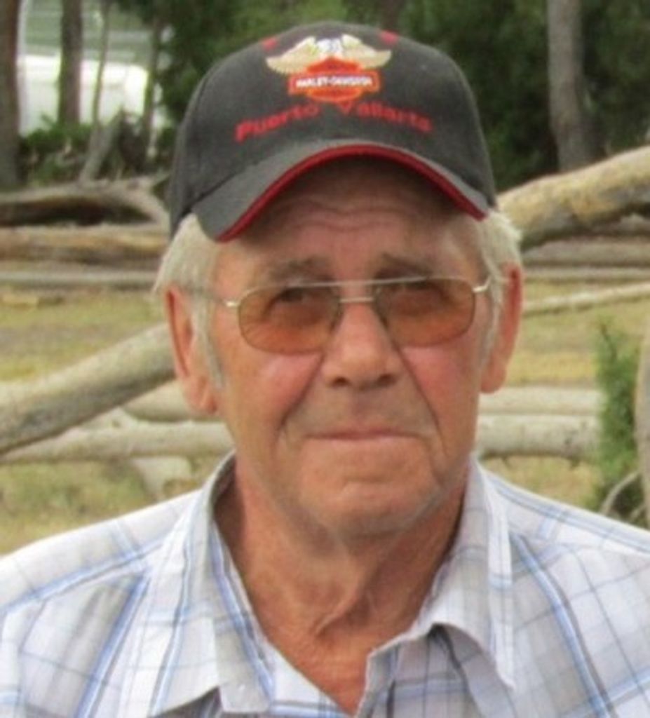 George Wayne Hanke Profile Photo