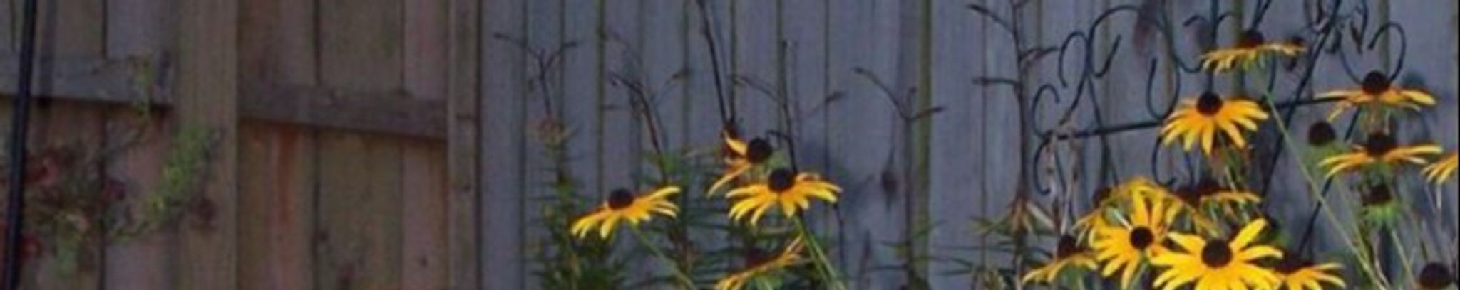 Cover photo for Bonnie Cessna's Obituary