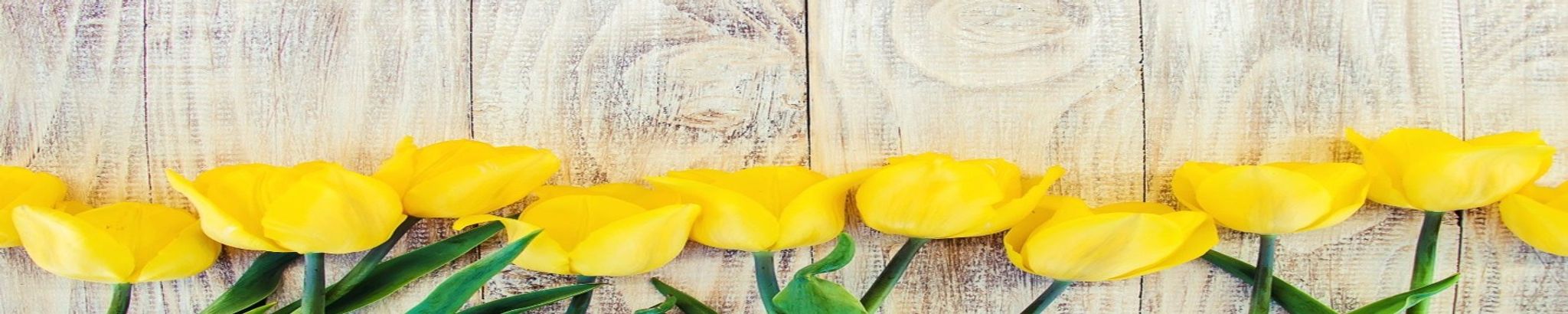 Cover photo for Lois M. Ecenrode's Obituary