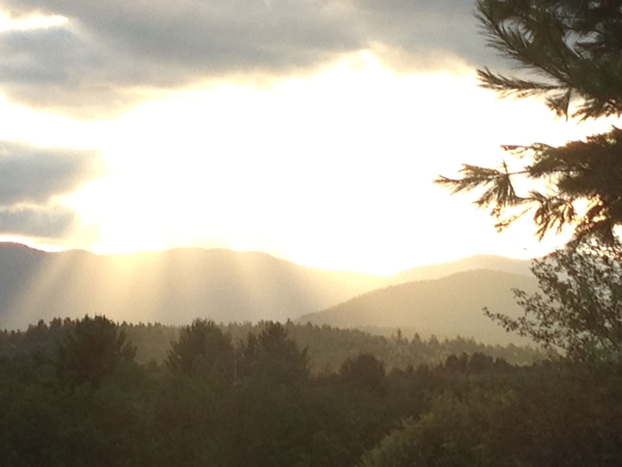 Cover for Dr. Thomas Surbeck Nicoll's Obituary