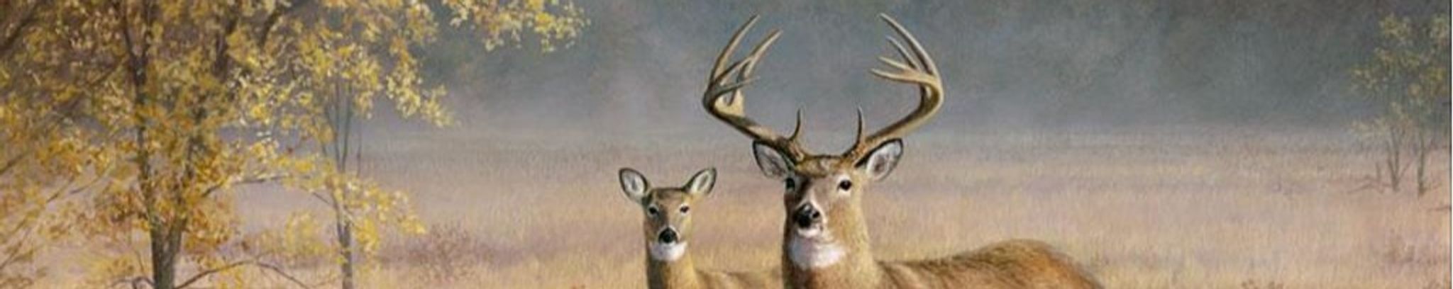 Cover photo for Joshua Roderick Goode's Obituary