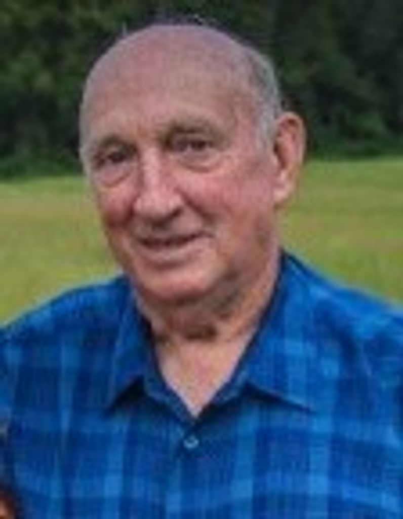 Walter Emerson Hively