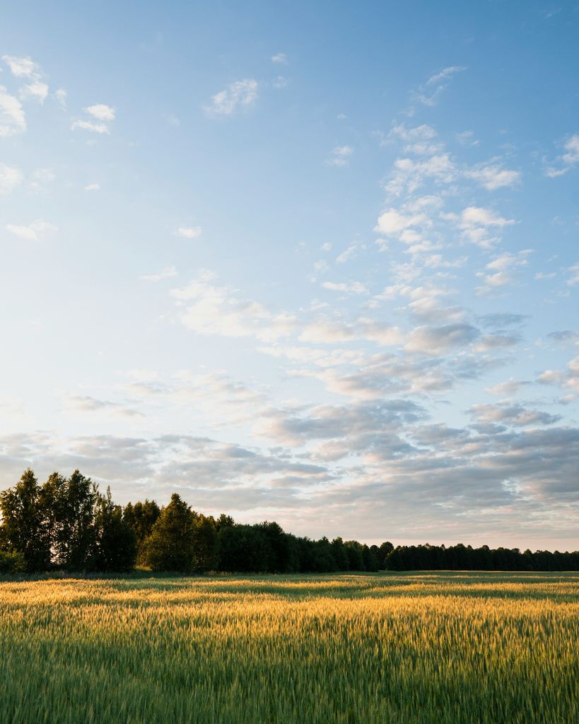 Willie Culley Profile Photo