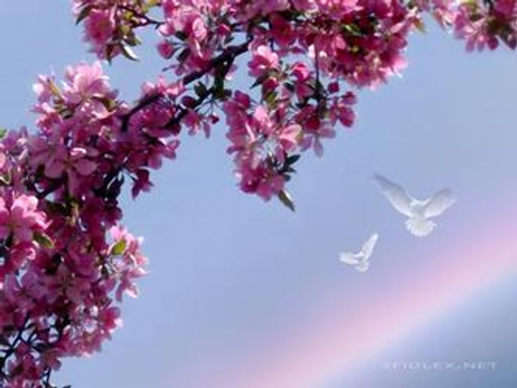 Corrine B. Haack Profile Photo